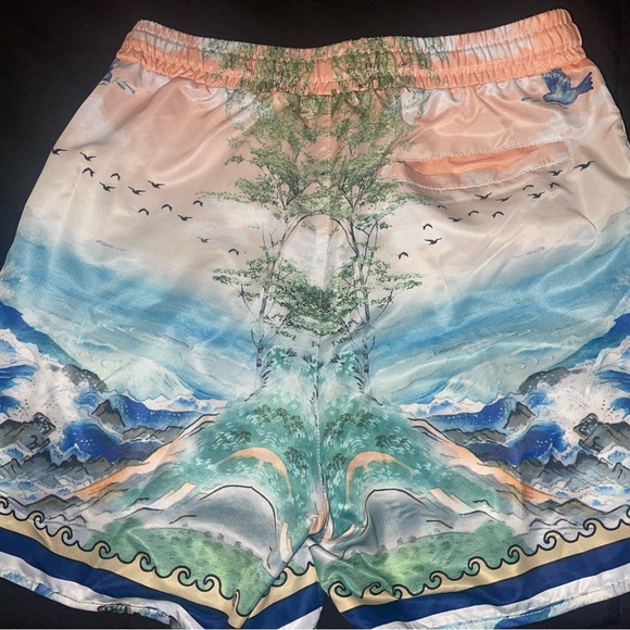 Fashion nova printed shorts / bathing suit. No lining in pants, never worn. - Picture 3 of 3